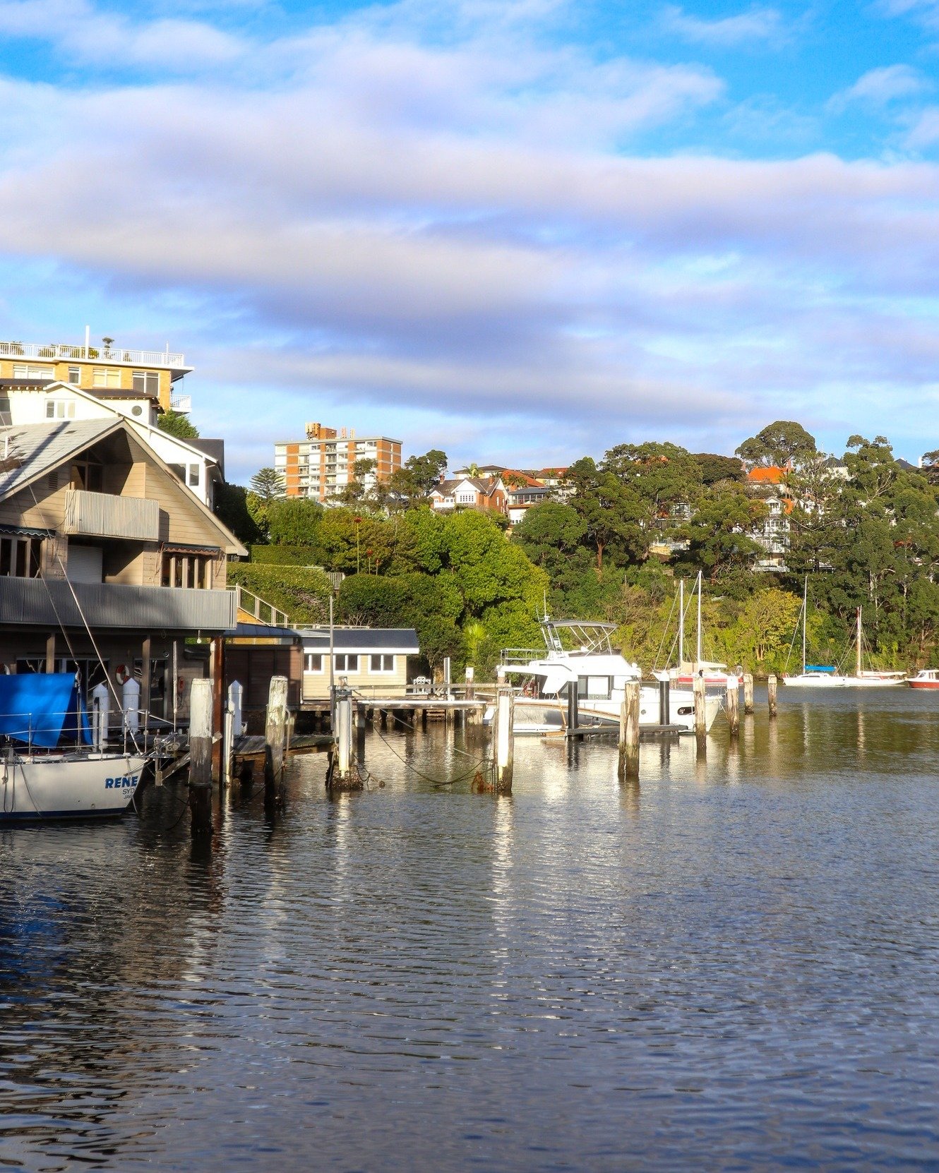 POV: your brunch view this weekend ☀️
#CafeMonstera #sydneybrunch #sydneycafe #sydneybreakfast #cafes #waterfrontdining #sydneybrunchspots #sydneyfoodshare #breakfastinsydney #mosman #mosmanliving #sydneycoffee #coffee #weekendvibes #brunch #BrunchI